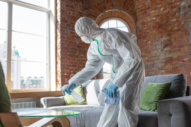 Why You Should Choose Our Mold Remediation Services in Four Bridges, OH